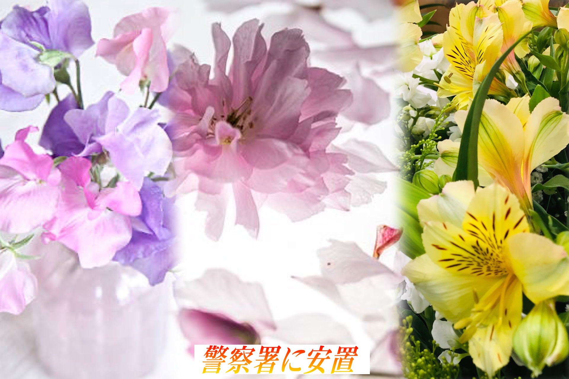 警察署,葬儀,検死