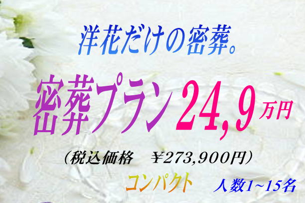 洋花だけの24.9万円プラン