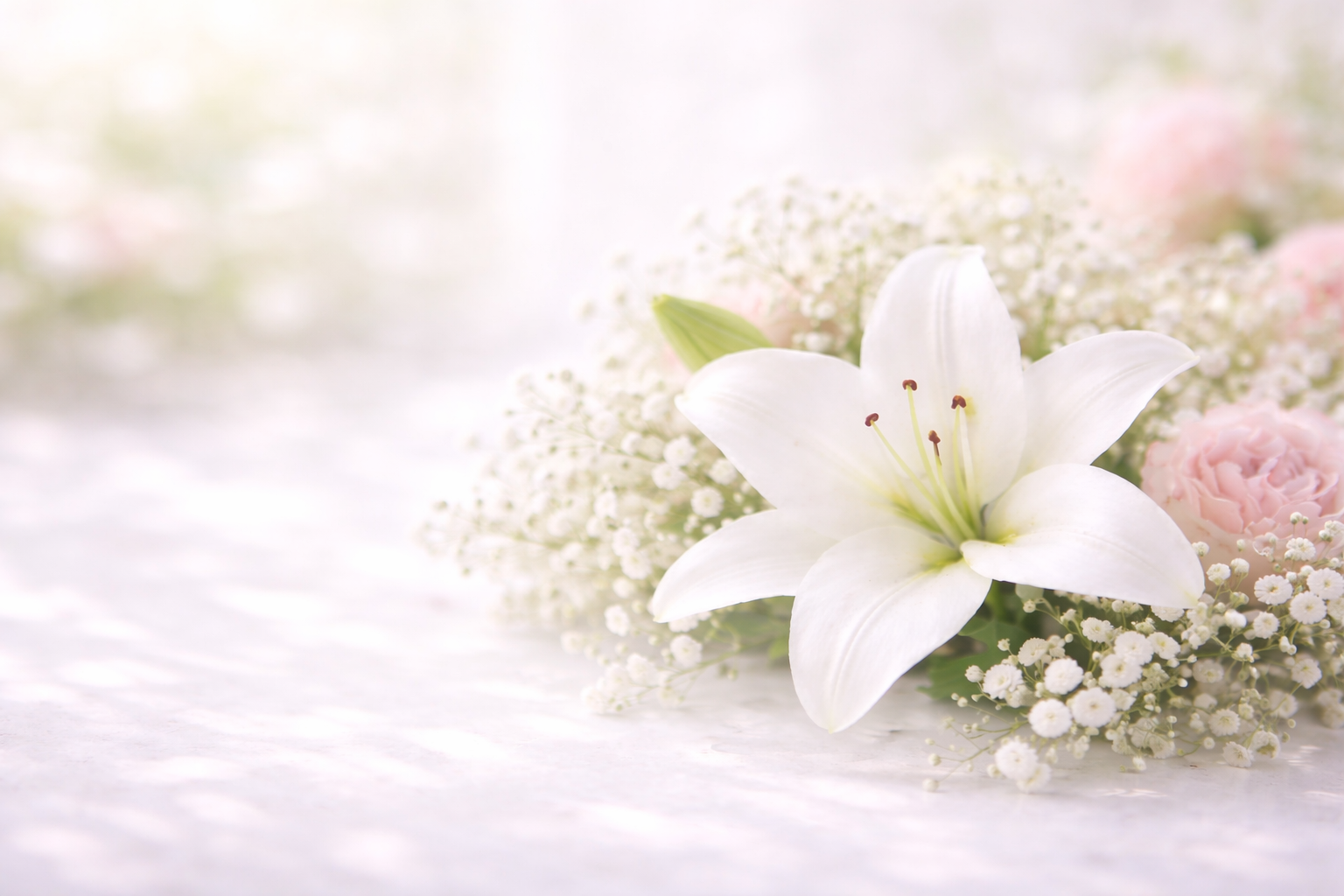 札幌で安い火葬ができる実績ある丁寧な葬儀屋